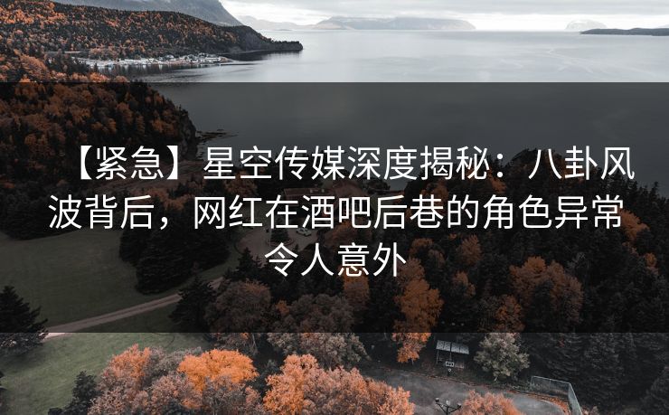 【紧急】星空传媒深度揭秘：八卦风波背后，网红在酒吧后巷的角色异常令人意外