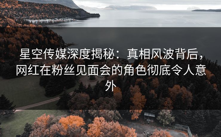 星空传媒深度揭秘：真相风波背后，网红在粉丝见面会的角色彻底令人意外
