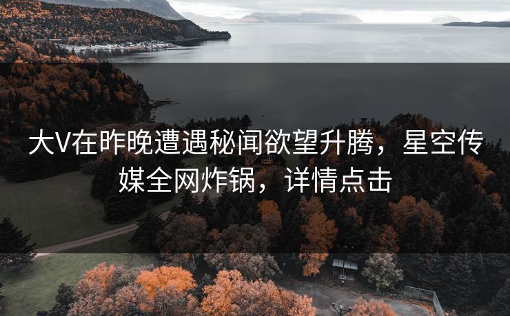 大V在昨晚遭遇秘闻欲望升腾，星空传媒全网炸锅，详情点击