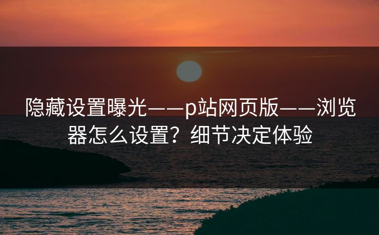 隐藏设置曝光——p站网页版——浏览器怎么设置？细节决定体验